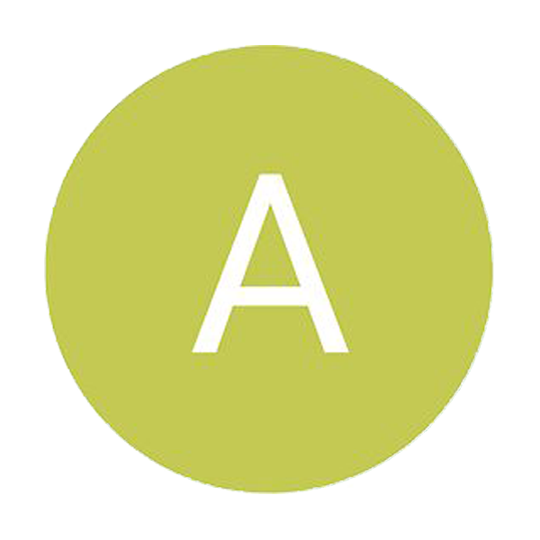  Ana P
